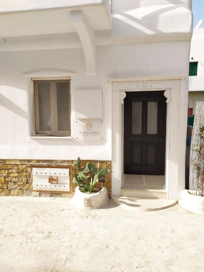 Narcissus Luxury Suites Naxos City Exterior foto