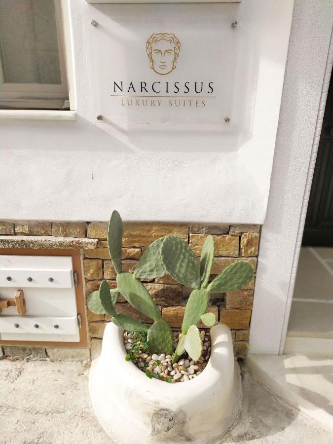 Narcissus Luxury Suites Naxos City Exterior foto